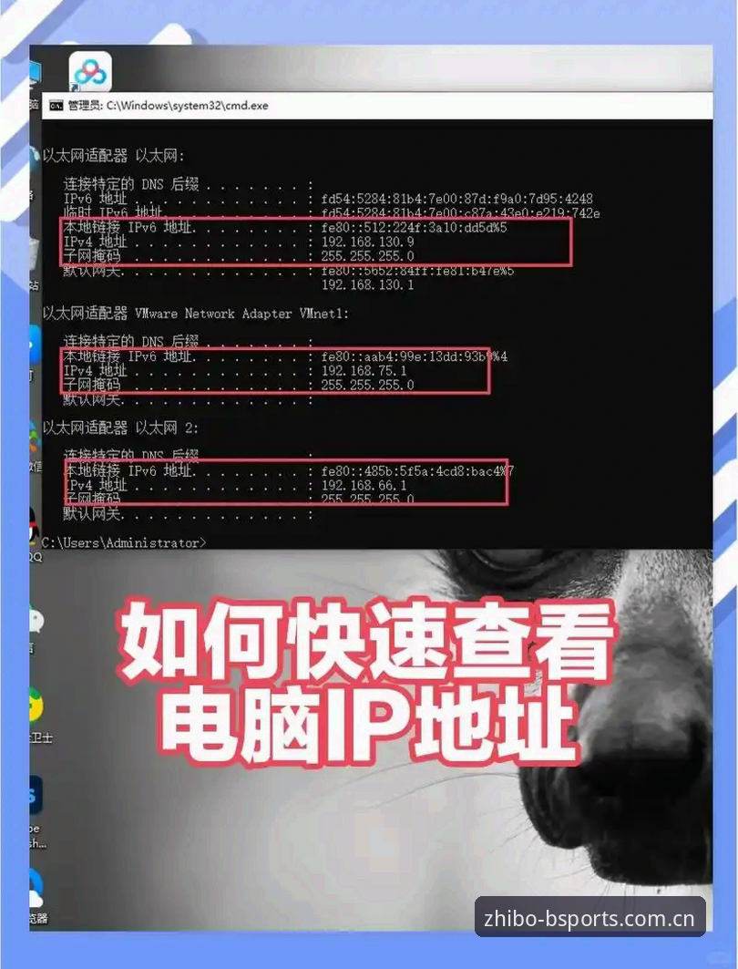 3个关键技巧助你快速找到B体育登录地址，畅享48.1MB新版本体验
